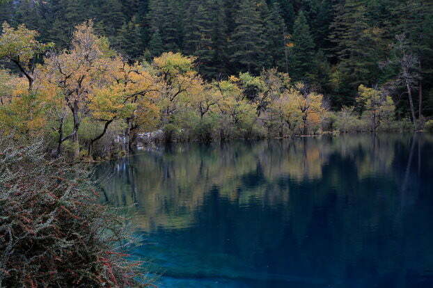 四川九寨溝景點-老虎海-20131015-賴鵬智攝-2-縮