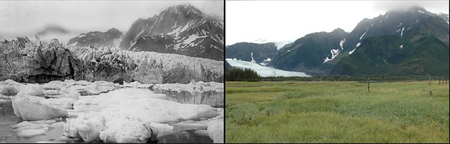 Pedersen Glacier melt, Alaska-Summer, mid-1920s to early 1940s-20050810-NASA