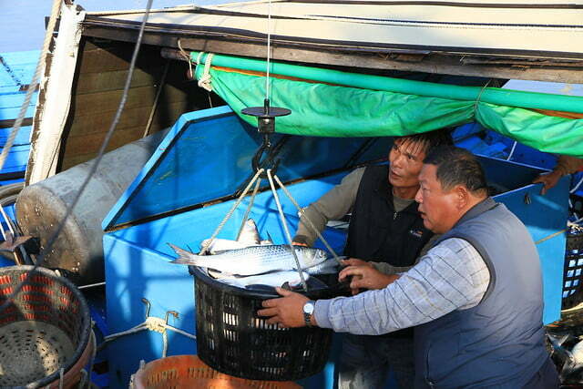 嘉義東石鰲鼓烏魚船豐收-20121221-賴鵬智攝-16