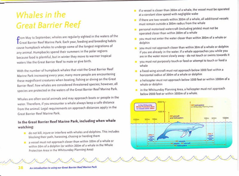 澳洲大堡礁遊客須知各頁掃描-40
