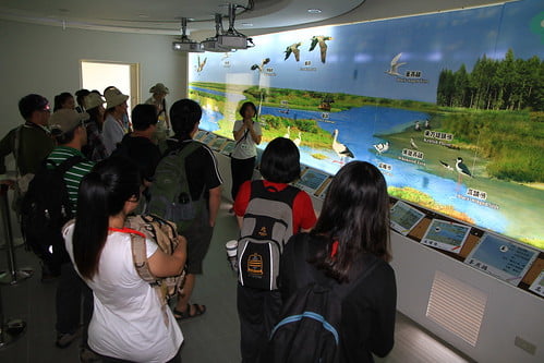 鰲鼓濕地學術單位參訪-東石自然生態展示館-20130806-賴鵬智攝-2