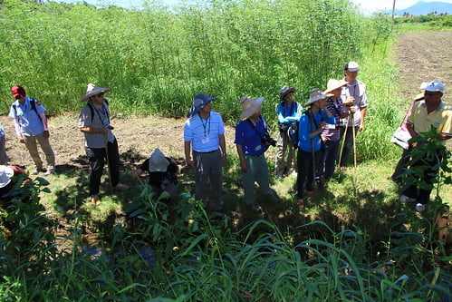 屏東恆春龍水里導覽解說-20130827-賴鵬智攝-2