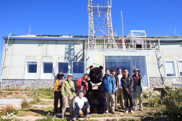 黑寶在玉山北峰氣象站-20130926-台灣黑熊保育協會提供